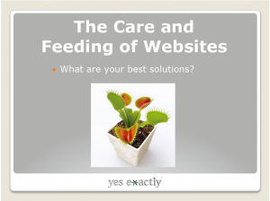 The Care and Feeding of Websites